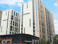 Blue Whale Factory Introductie